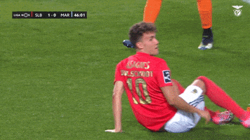 Sl Benfica Smile GIF by Sport Lisboa e Benfica