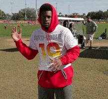 Pittsburgh Steelers Football GIF by NFL