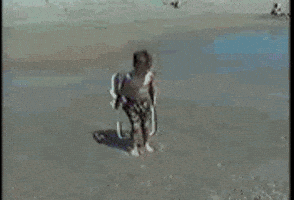 Very Funny Reaction GIF