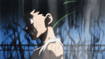 Hunter X Hunter GIF