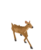 world of warcraft running GIF