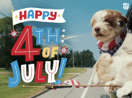 4Th Of July Usa GIF by AmericanGreetings.com 4Th Of July Usa GIF by AmericanGreetings.com