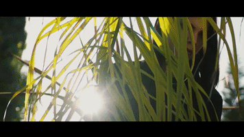 animation film GIF by CATTURA Production