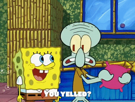 season 6 squid's visit GIF by SpongeBob SquarePants
