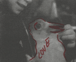 Sound And Vision Love GIF by Beeld en Geluid