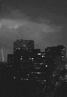 black and white love GIF