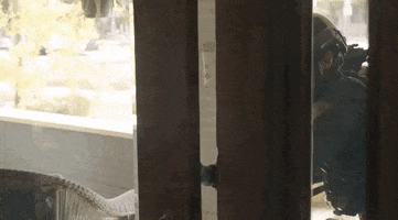 Shemar Moore Swat GIF by CBS Shemar Moore Swat GIF by CBS