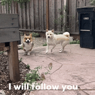 God Knows Best_SmallGroup_Handout.pdf