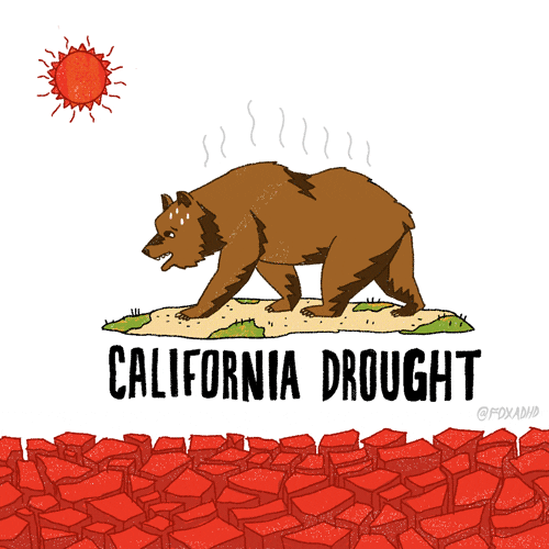 THE TREMENDOUS TIMES - CALIFORNIA IS FAILING... SO SAD!