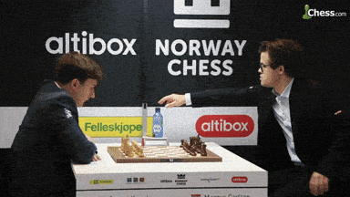 champion chess GIF
