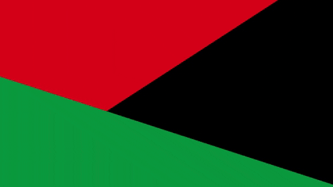 BlackVoter.Org