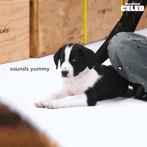 Hungry Girl Group GIF by BuzzFeed