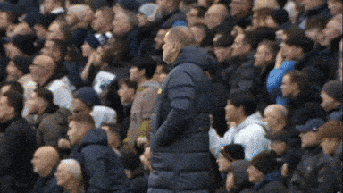 🐓 Levy's latest trick