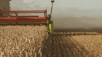 America's Agricultural Hegemony: A Product of Geography, History, and Human Innovation