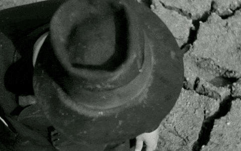 🧪 Tech’s Meltdown, Bitcoin’s Crash, Japan’s Big Move