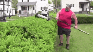 redneck hedge GIF