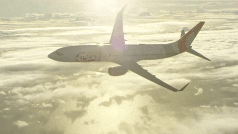 ✈️ Investing in airline stocks?