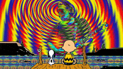 🎶 Heady Nights in Potomac