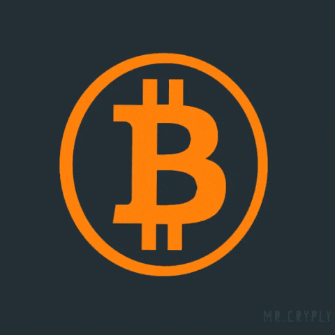Checkout With Bitcoins