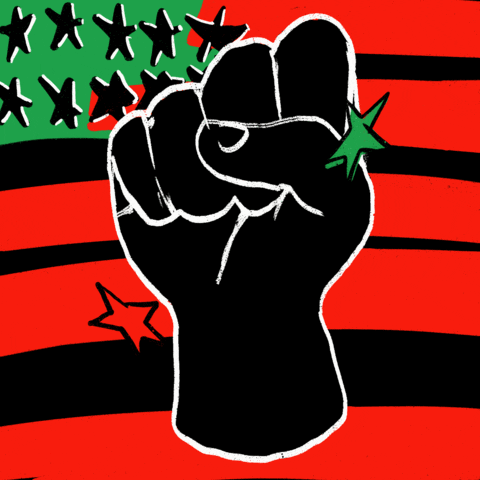BlackVoter.Org