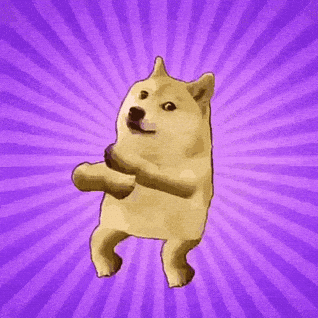 Shiba Inu Crypto GIF