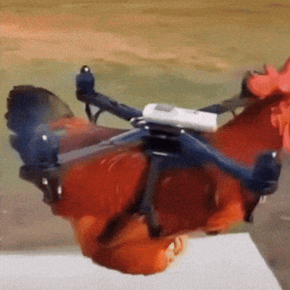 🚁 A new 360 drone rethinks aerial workflows by letting you frame shots in post.