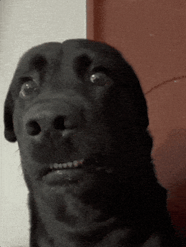 Confused Eyes GIF by MOODMAN