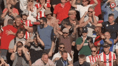 🐝 Absolute Bees Leeds