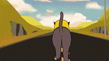 Cat Butt GIF by Adult Swim