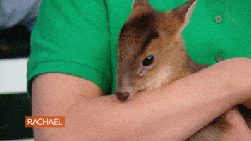 Food Love GIF by Rachael Ray Show