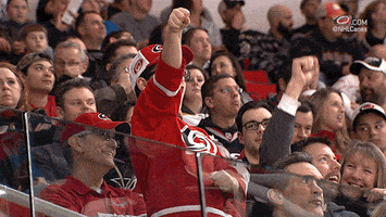 pnc arena dance GIF by Carolina Hurricanes