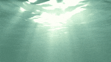 under the sea loop GIF by Doze Studio