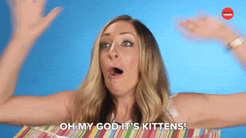 Excited Oh My God GIF by BuzzFeed