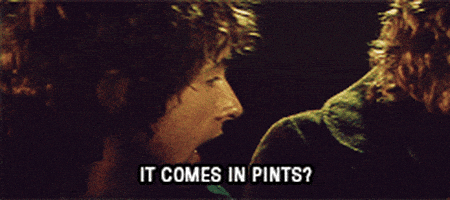 drunk the lord of the rings GIF