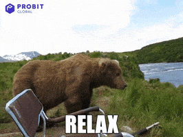 Chill Reaction GIF by ProBit Global