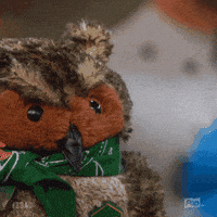 Pop Tv Bb21 GIF by Big Brother After Dark