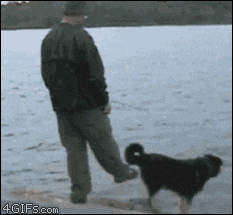 Giphy - lake karma GIF