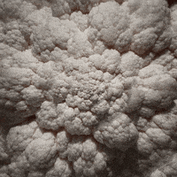 food porn wtf GIF by Feliks Tomasz Konczakowski