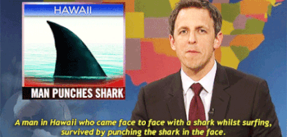 seth meyers snl GIF by Saturday Night Live