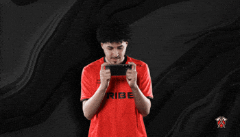 Lets Go Win GIF by Tribe Gaming