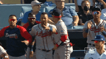 Atlanta Braves Baseball GIF by MLB