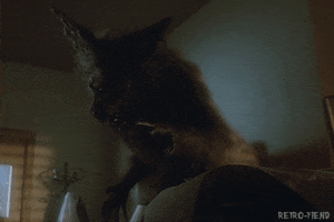 cult film horror GIF by RETRO-FIEND