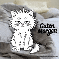 Coffee Time Cute Cat GIF by ErlebnisMalerei