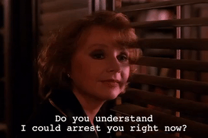 season 2 GIF by Twin Peaks on Showtime