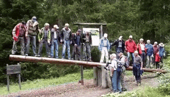 🎁 Bonus Fofocoins : La réponse surprise