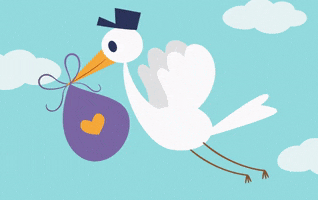 Baby Stork GIF by evite Baby Stork GIF by evite