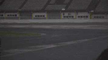 cars racing GIF by ABB Formula E
