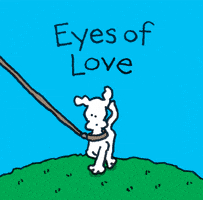 Love GIF by Chippy the Dog