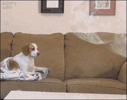 tired don't care GIF