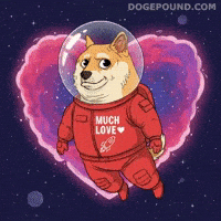 Happy I Love You GIF by Doge Pound
